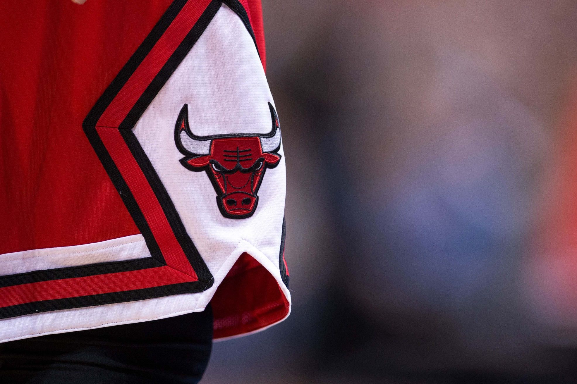 Chicago Bulls Logo