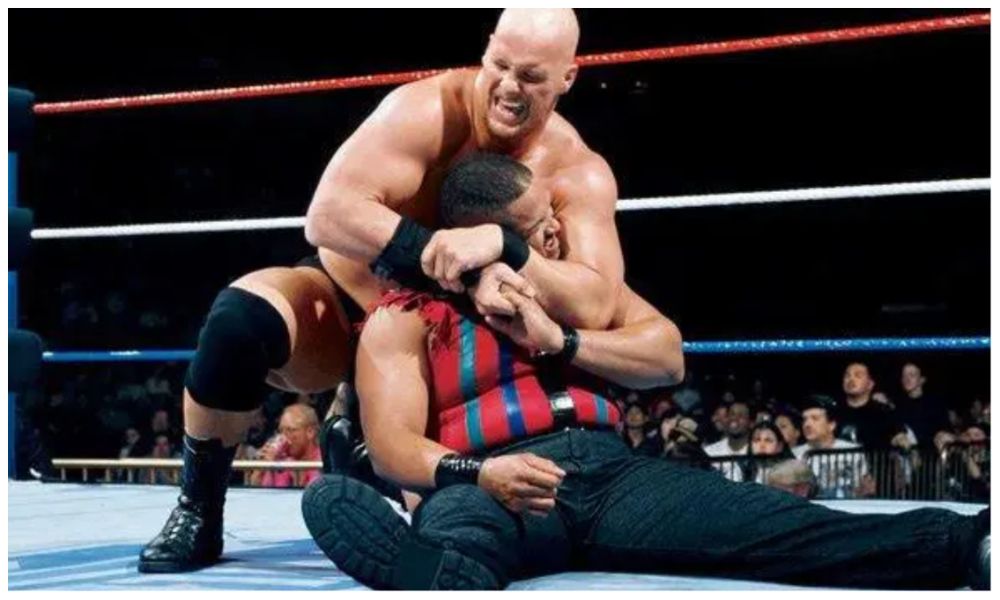 10 Most Devastating Moves Of Steve Austin's Wrestling Career