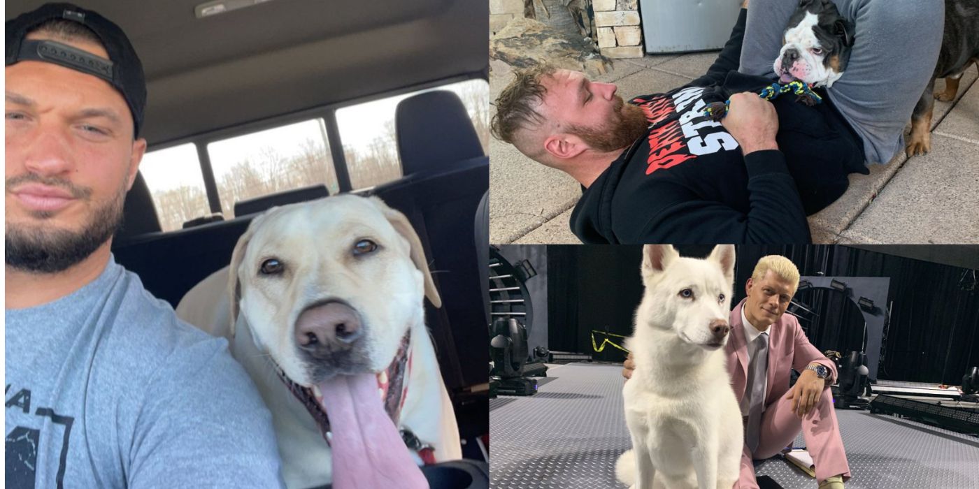 Wrestlers with their pets