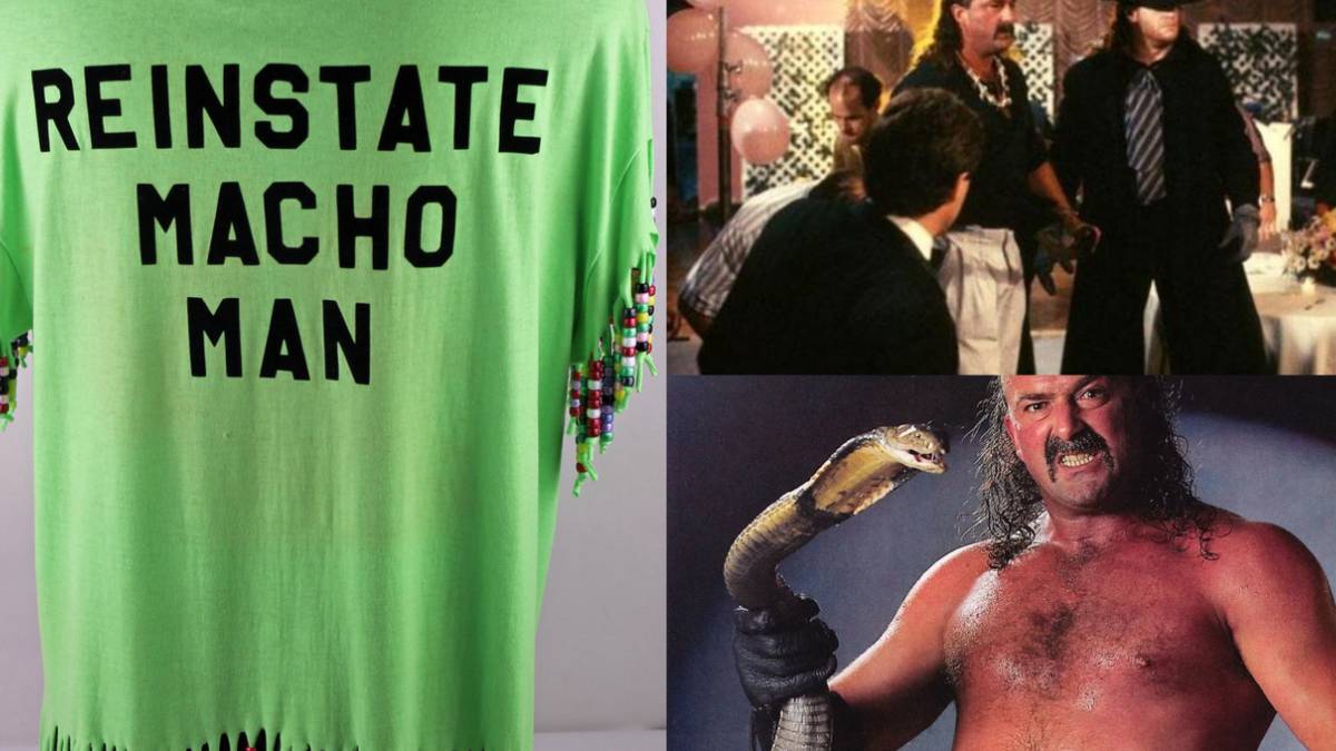 10 Things WWE Fans Should Know About The Randy Savage Vs. Jake 