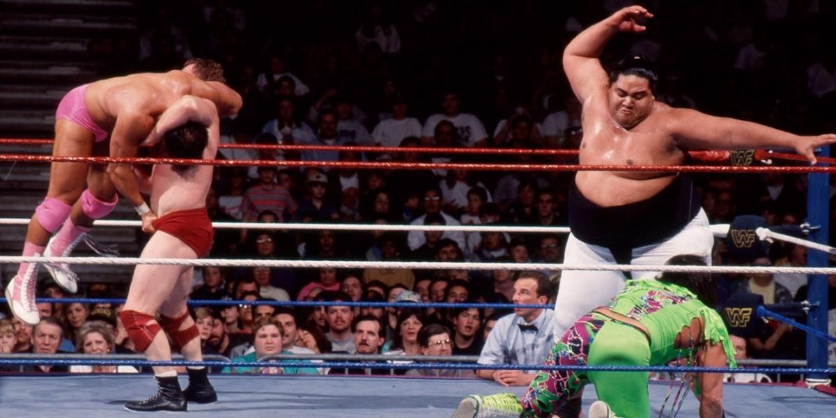 1993 Royal Rumble Match Cropped
