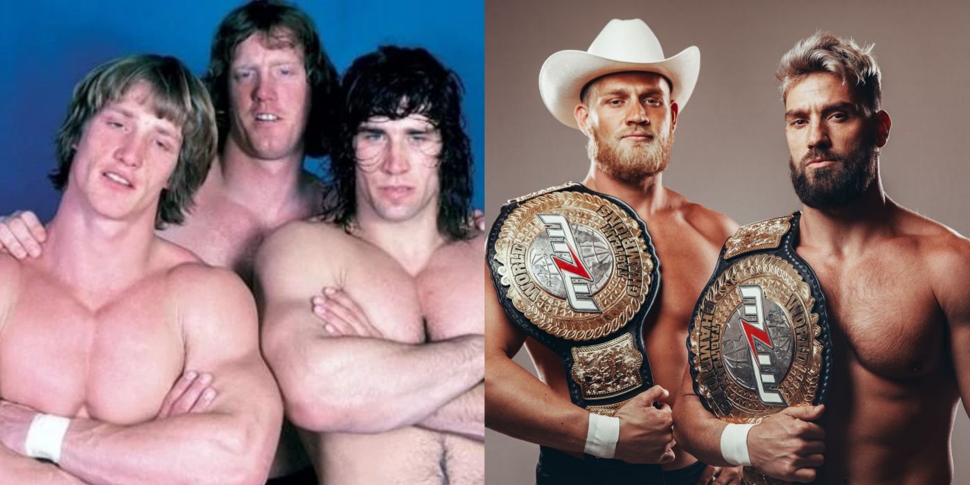 Wrestling's greatest brothers: photos