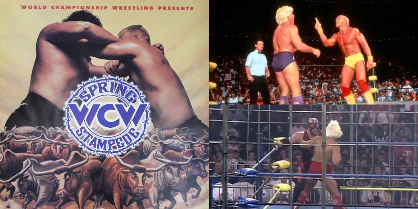 【低価特価】貴重！1点モノ　WWE WCW TNA　新日　スティング　コスチュームカスタム スポーツ