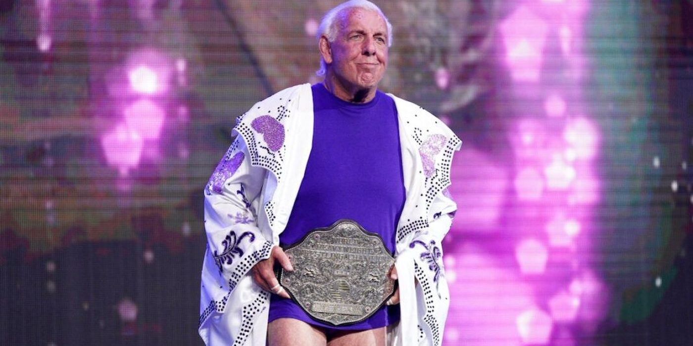 Ric Flair's performance in the last match