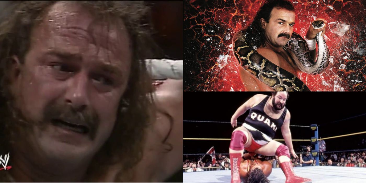 CS Jake The Snake Roberts' Pet Snake Damien Was Once Crushed On WWE TV