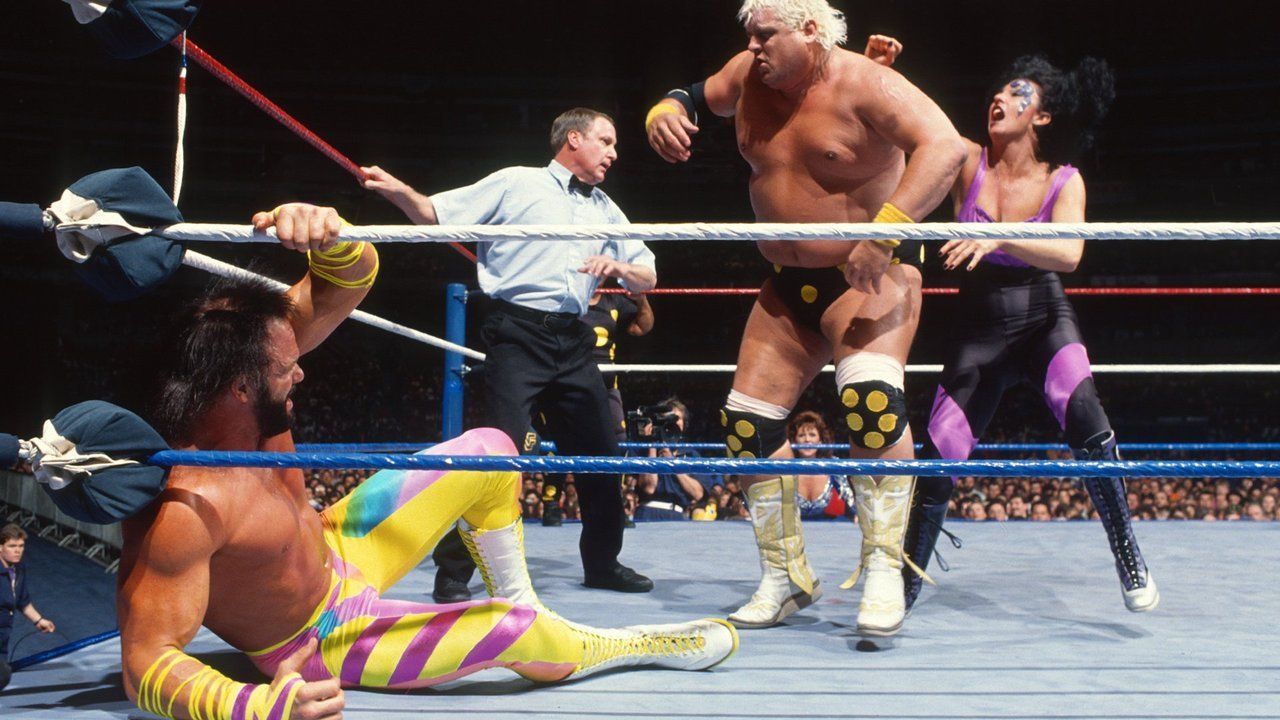 Randy Savage vs. Dusty Rhodes