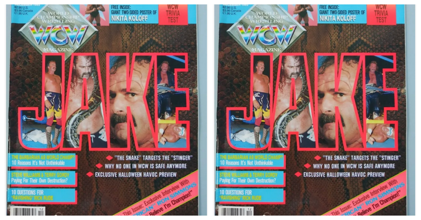 10 Best WCW Magazine Covers, Ranked