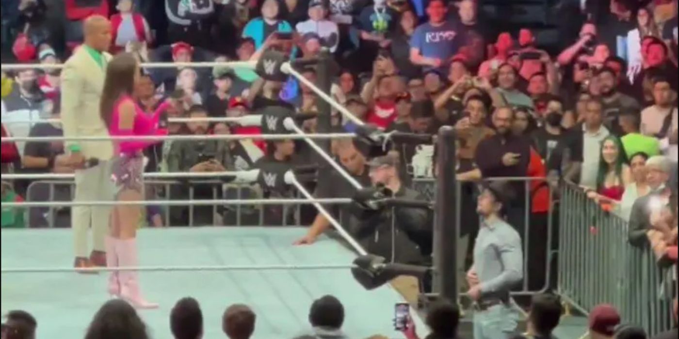 YouTuber tries to enter the ring