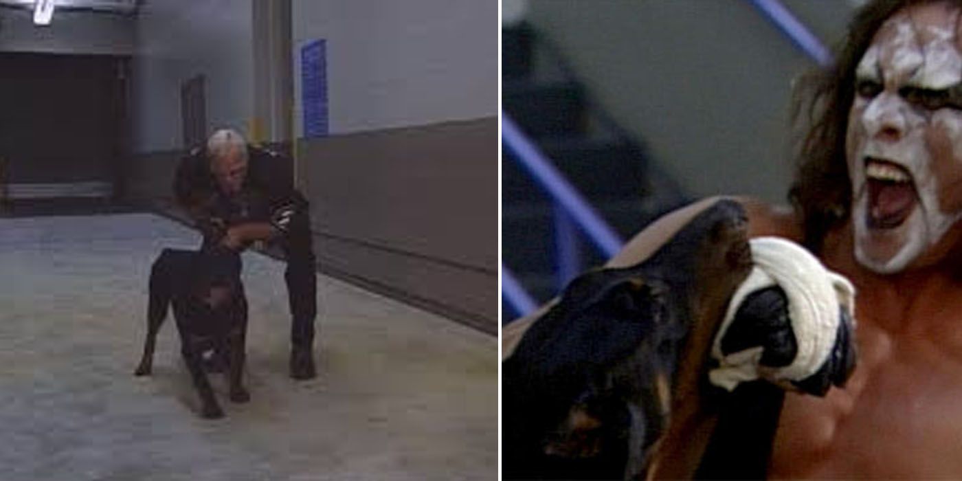 Sting Getting Attacked By Dogs Is One Of The Most Embarassing WCW