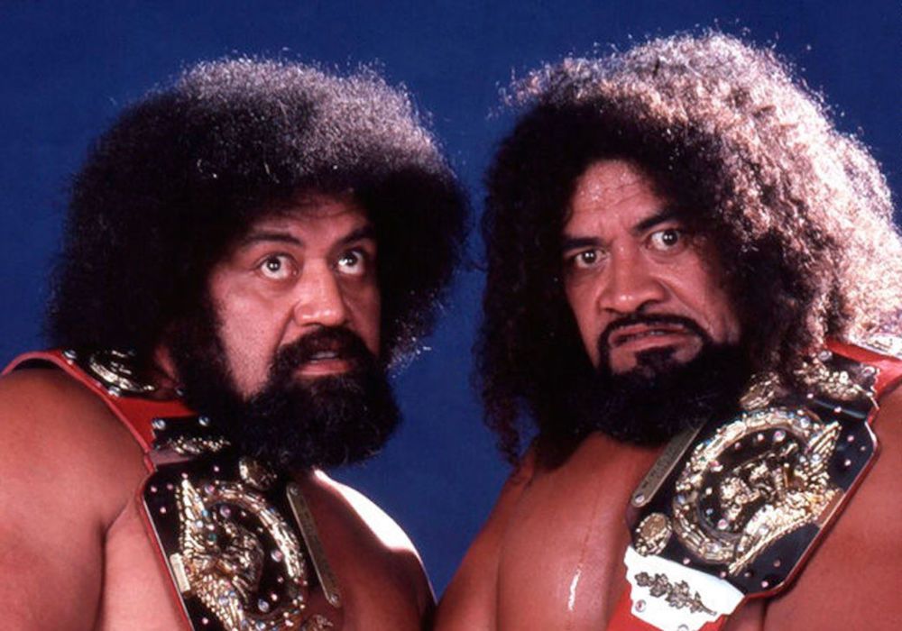 Dynasty 18 Best Samoan Wrestlers Of All Time   Wild Samoans Wwe Tag Team Championship 