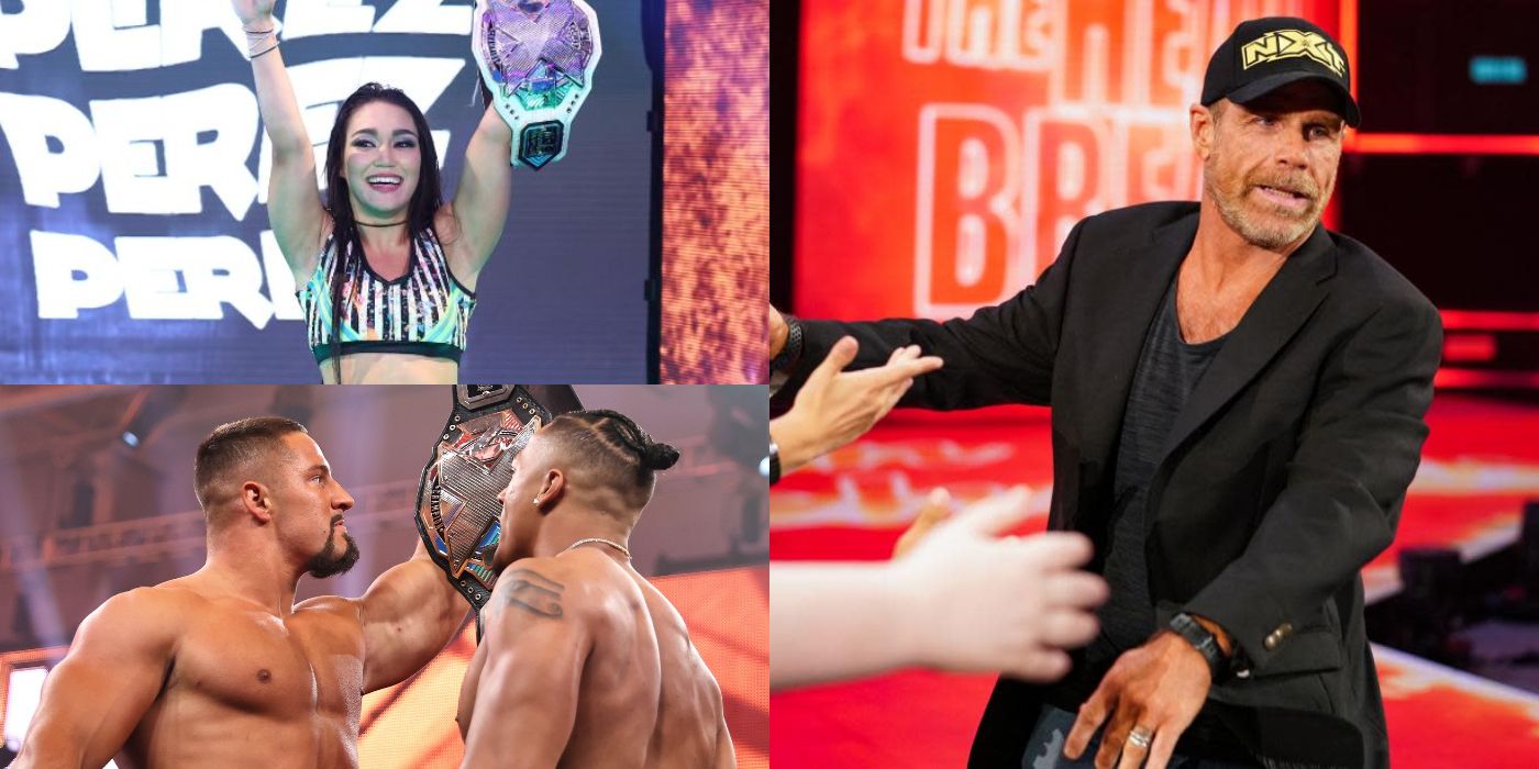 The Tragedy & Legacy Of Bray Wyatt, Explained