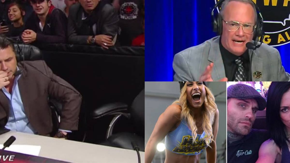 Ecw Commentators 9 Times Wrestling Commentators Were Involved In Real-Life Drama