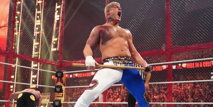 cody-rhodes-vs-seth-rollins-hell-in-a-cell