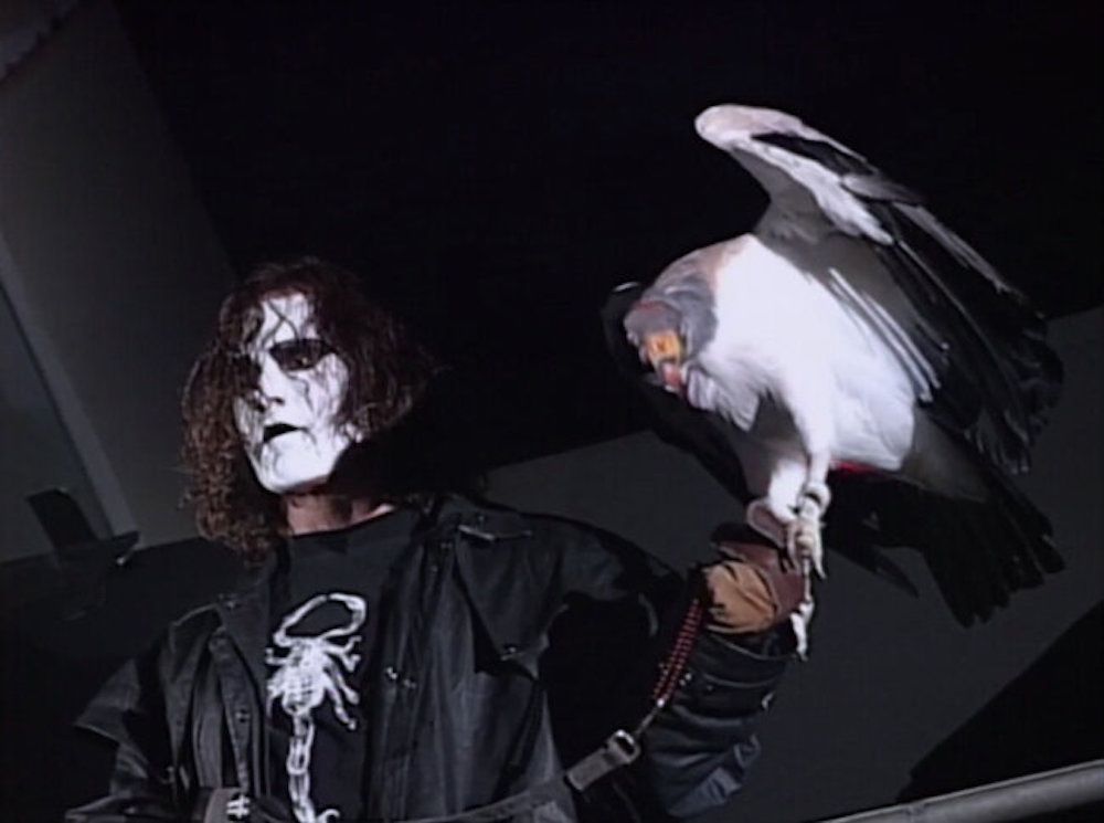 Sting in the rafters with a vulture