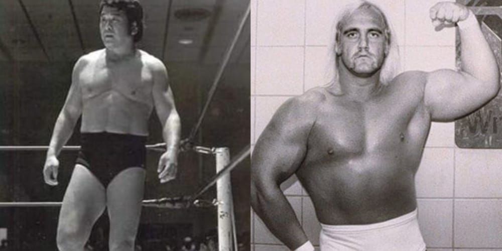 The Story Of Hiro Matsuda Breaking His Student Hulk Hogan's Leg, Explained