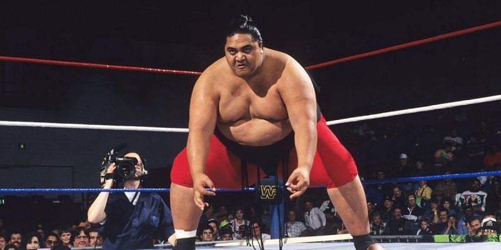 yokozuna-crouching-corner