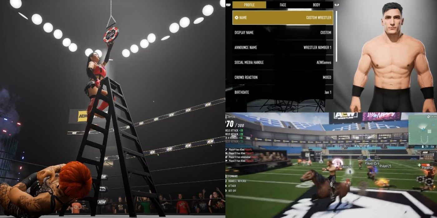 aew-fight-forever-video-game-fixes