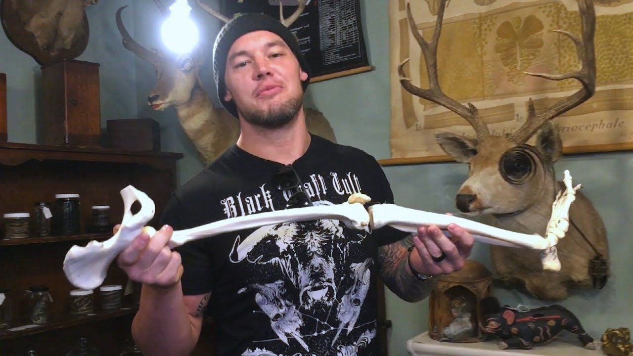 baron corbin bone