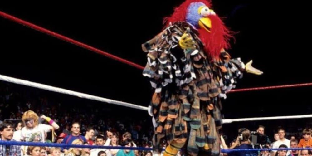 gobbledy-gooker-wwe