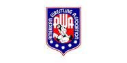 10 Wrestling Titles From The 1980s We Completely Forgot Existed 10 Wrestling Titles From The 1980s We Completely Forgot Existed