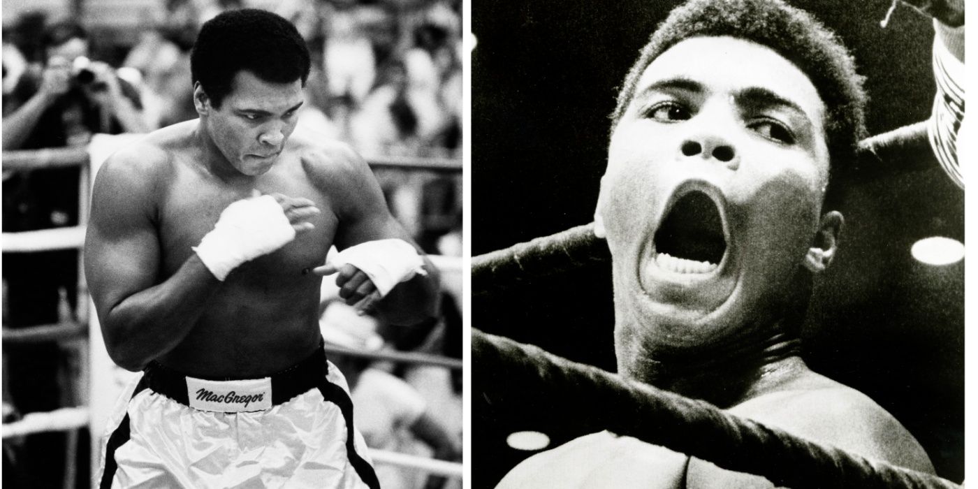 Muhammad Ali inside the ring