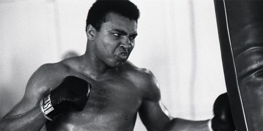 10 Greatest Pro Boxers Of All Time, Ranked