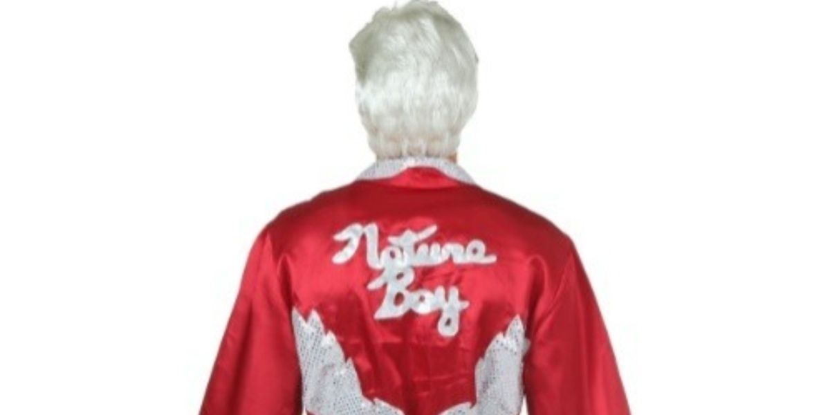 10 Best WWE Halloween Costumes You Can Buy Online
