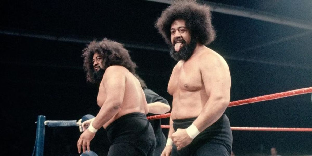 The Wild Samoans standing on the ring apron