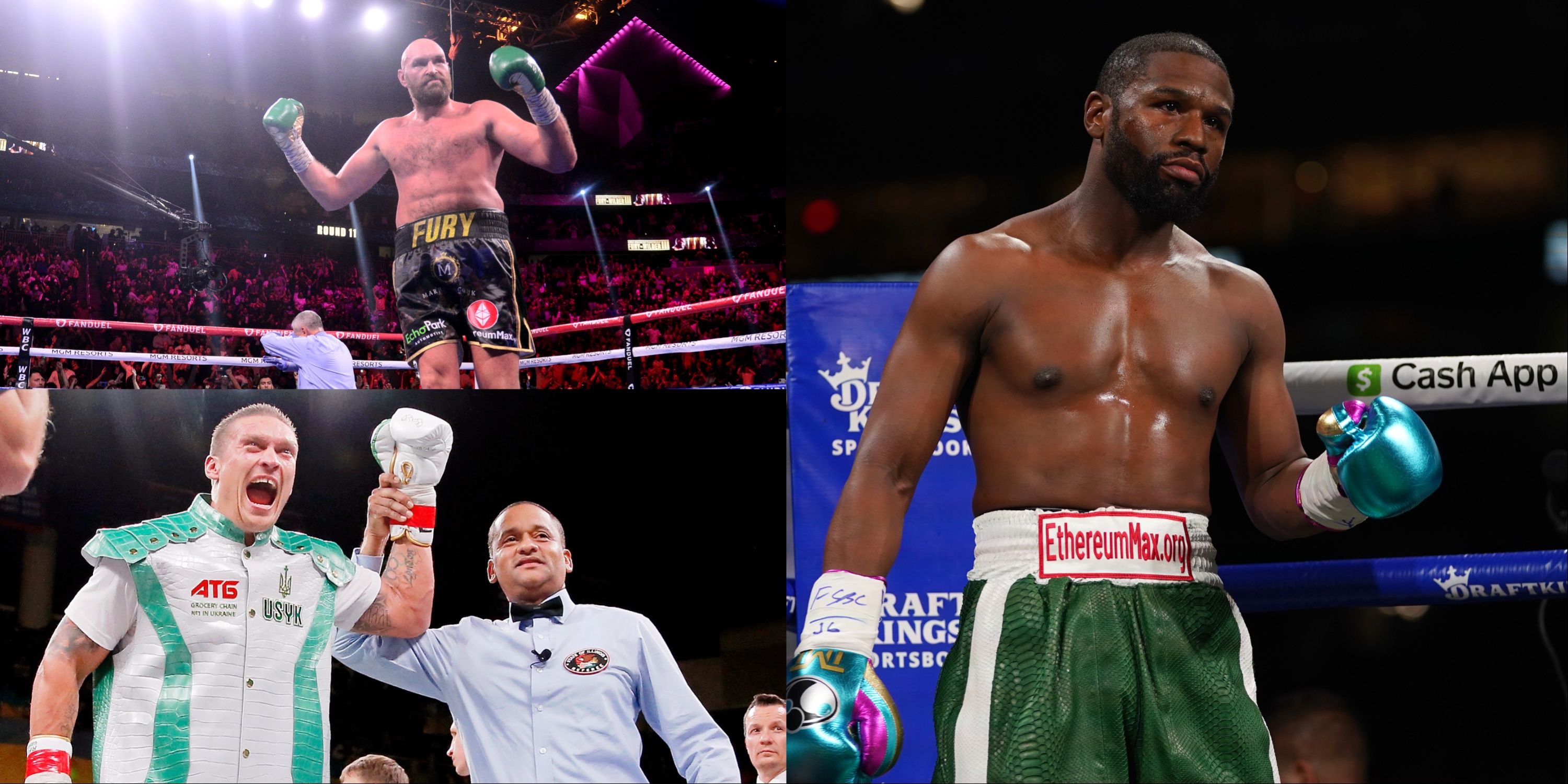 10 Highest Paid Boxers In The World, Ranked By Earnings