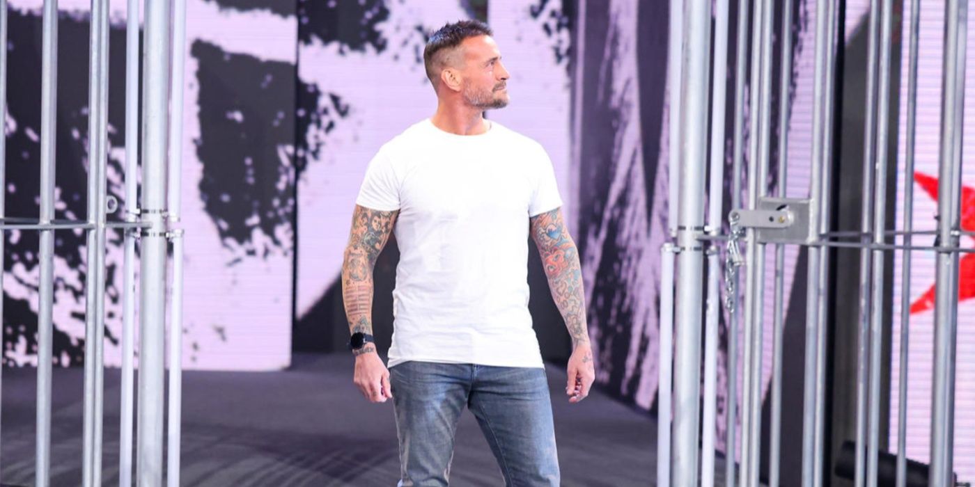 cm punk standing between the wargames cages at survivor series