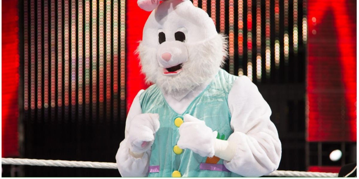 The Bunny WWE