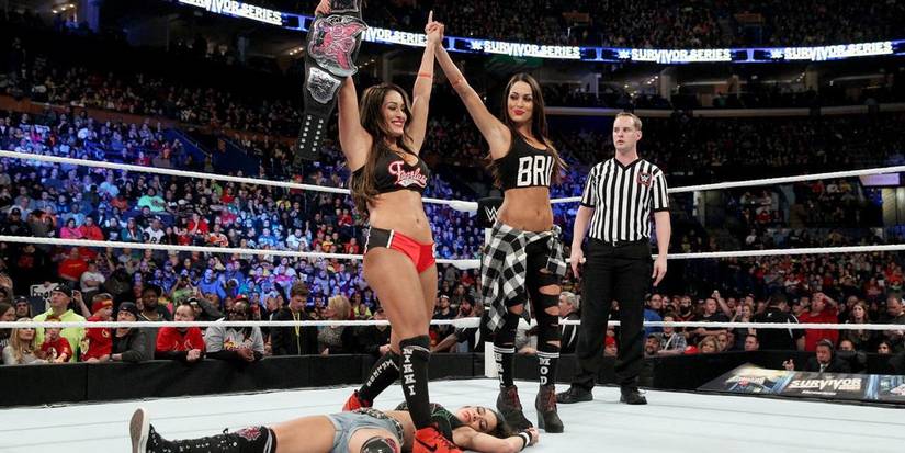 Nikki Bella v AJ Lee Survivor Series 2014 Cropped-1