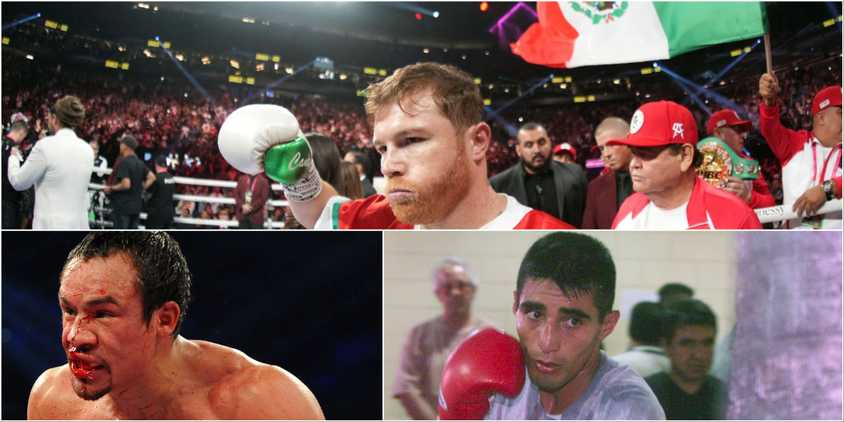 Ferocious Boxer 10 Most Aggressive Boxers Of All Time, Ranked By Skill