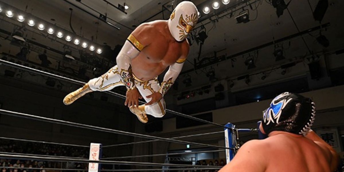 Best Pro Wrestlers Ever In Terms Of Drawing Power
