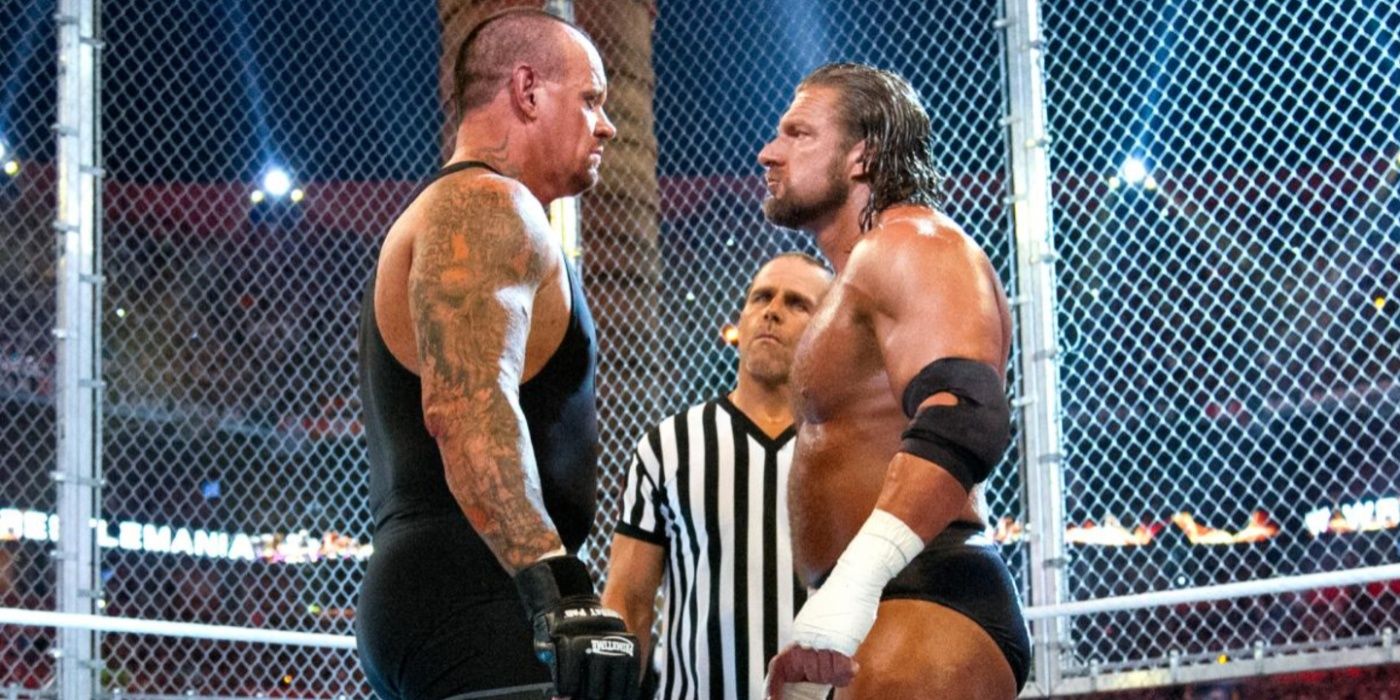 the undertaker and triple h inside hell in a cell