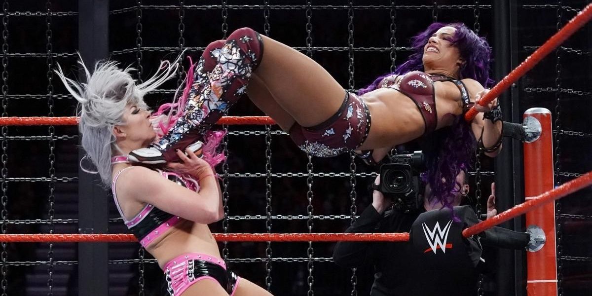 Sasha Banks wrestling inside the Elimination Chamber Cropped