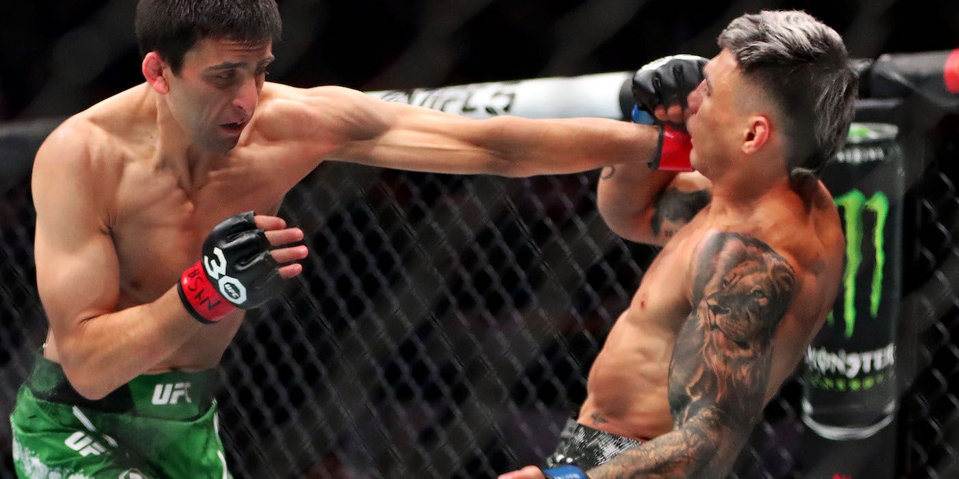 UFC's New Flyweight Contender Steve Erceg Proves Rankings Don't Matter ...