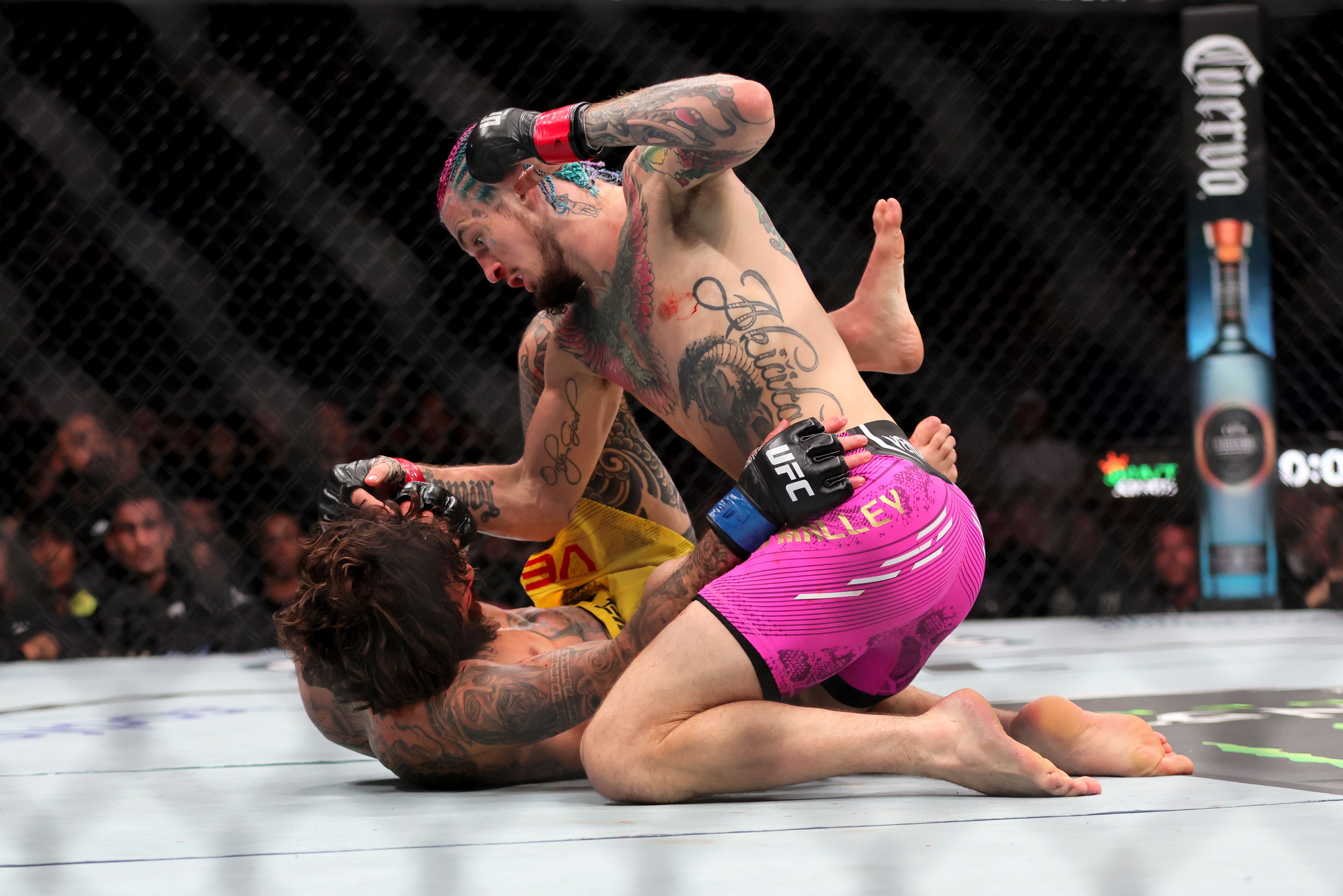 Which combat sport currently generates more money: MMA (UFC) or Boxing? -  Quora