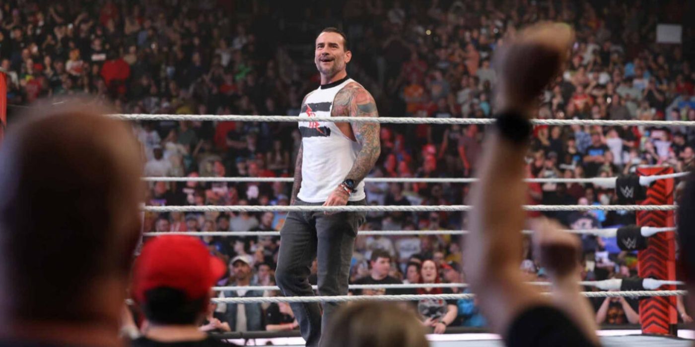 cm punk in the ring