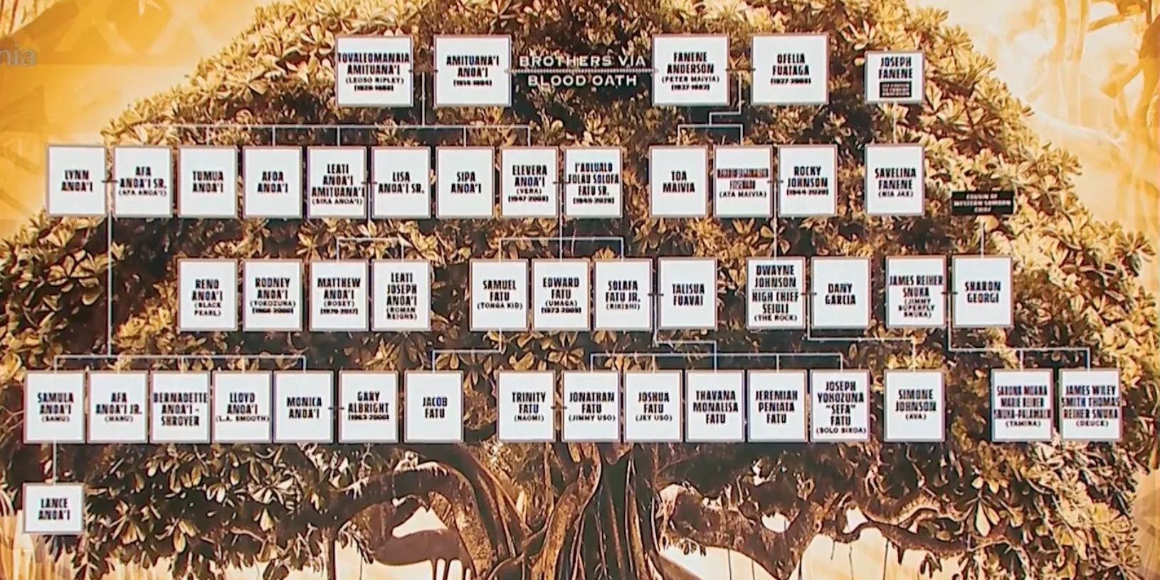 The Bloodline family tree 