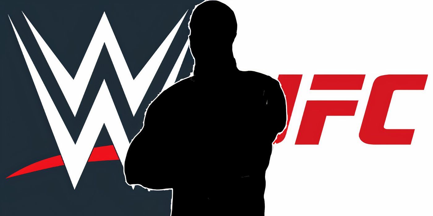 Current WWE Tag Team Star Wants To Fight In UFC