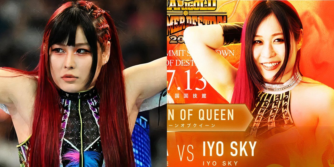 And Sky Marigold feature images