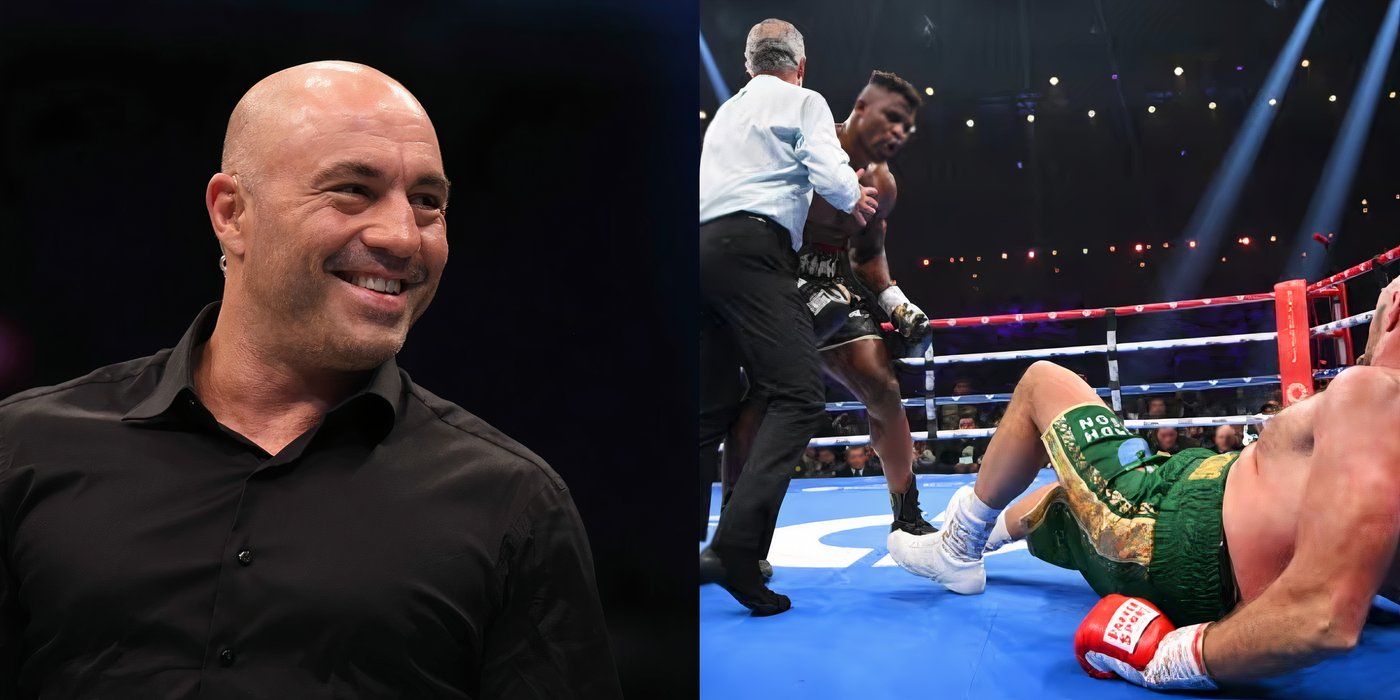 Joe Rogan's Damning Verdict On Francis Ngannou vs. Tyson Fury