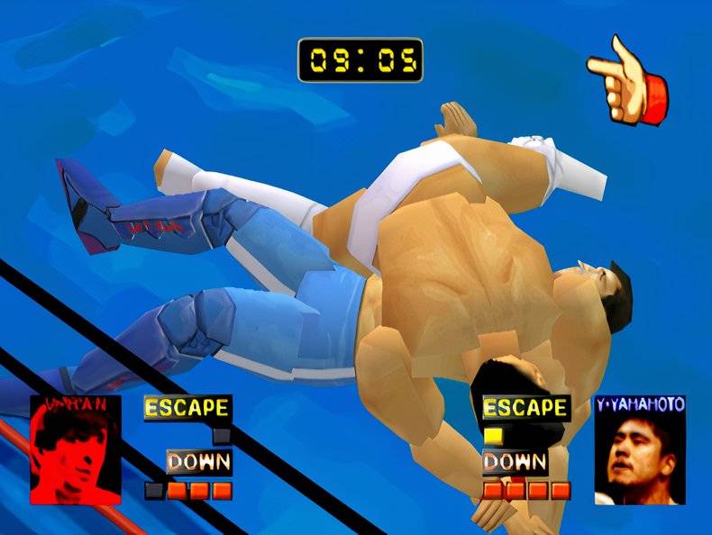 10 Bizarre MMA Video Games That You Didn't Know Existed