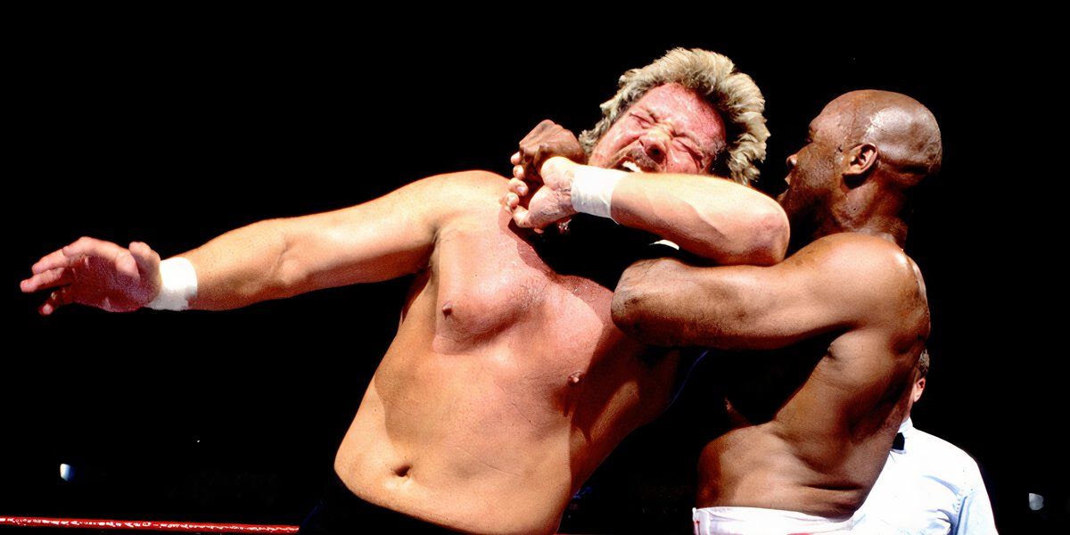 Best Finishers Of WWE's Golden Era