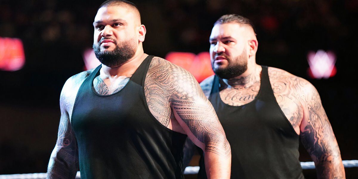 Authors of Pain Raw June 10, 2024 Cropped