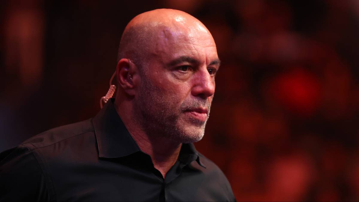 Joe Rogan | TheSportster