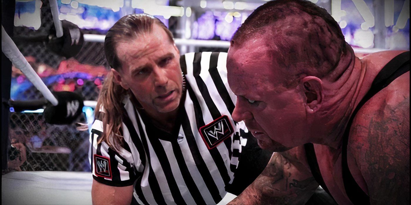 Shawn Michaels and The Undertaker (WWE WrestleMania 28)