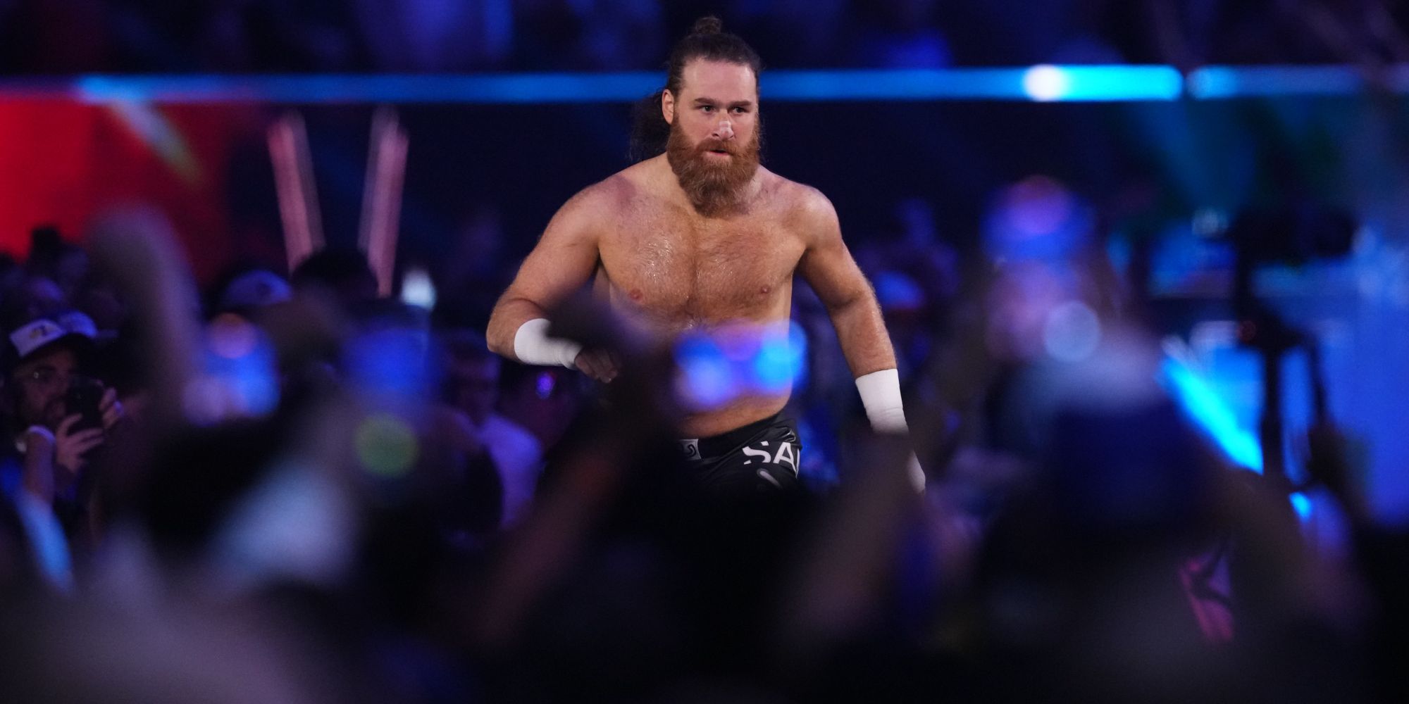 Sami Zayn Royal Rumble 2025 Imagine