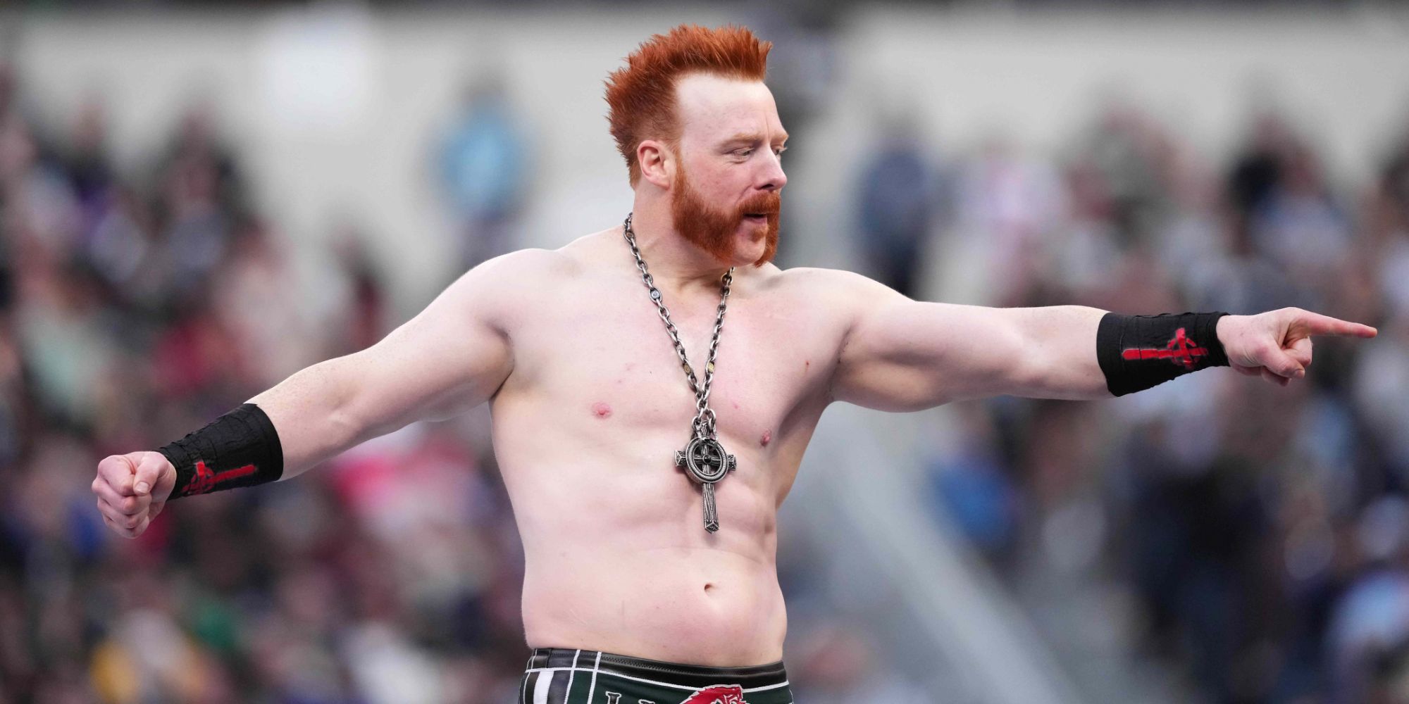 Sheamus’ WWE Career Is Over… This Should Be His Next Chapter